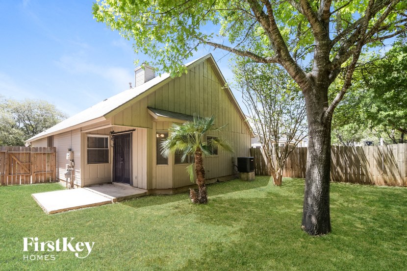 a backyard with a house and a palm tree