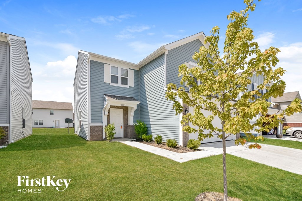 A tree with yellow leaves stands in front of a grey house.