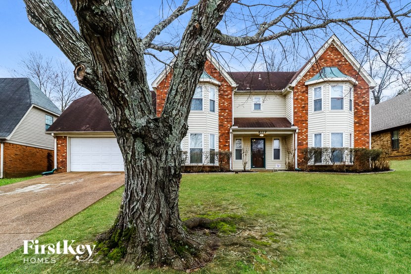 A large tree stands in front of a brick house.