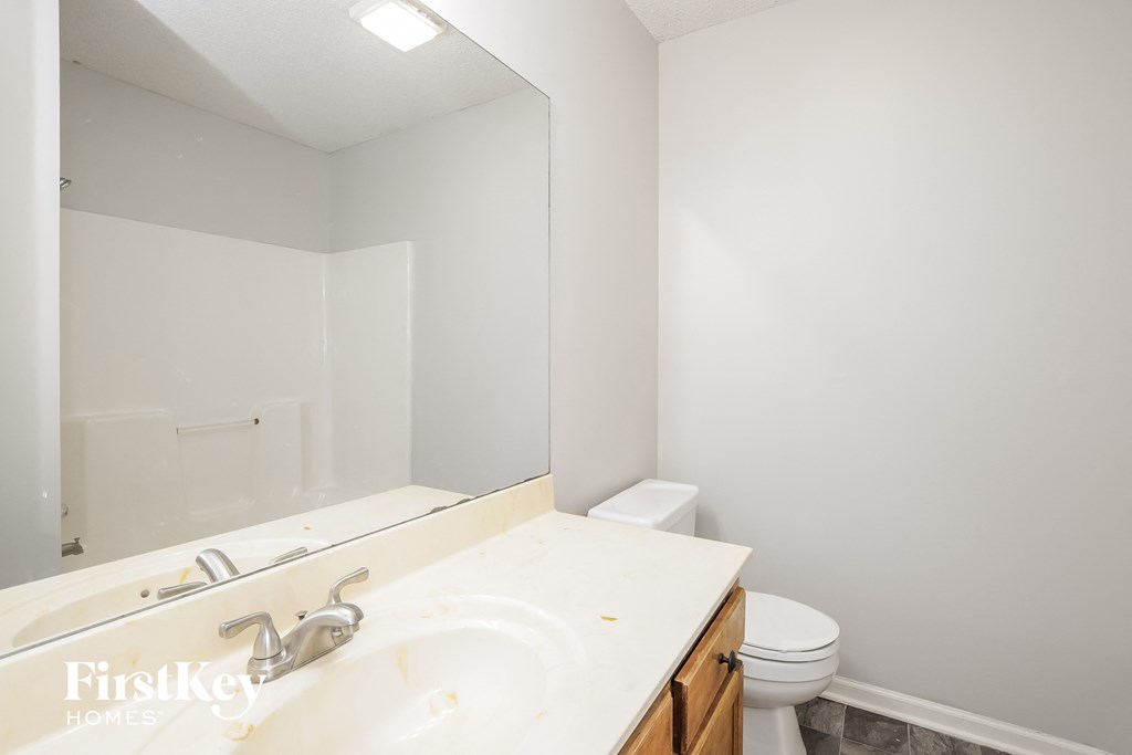 a bathroom with a sink and a toilet and a mirror