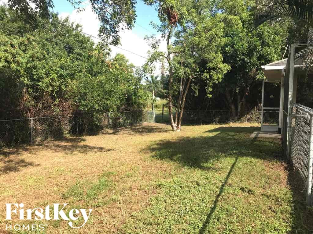 A backyard with a fence and trees.