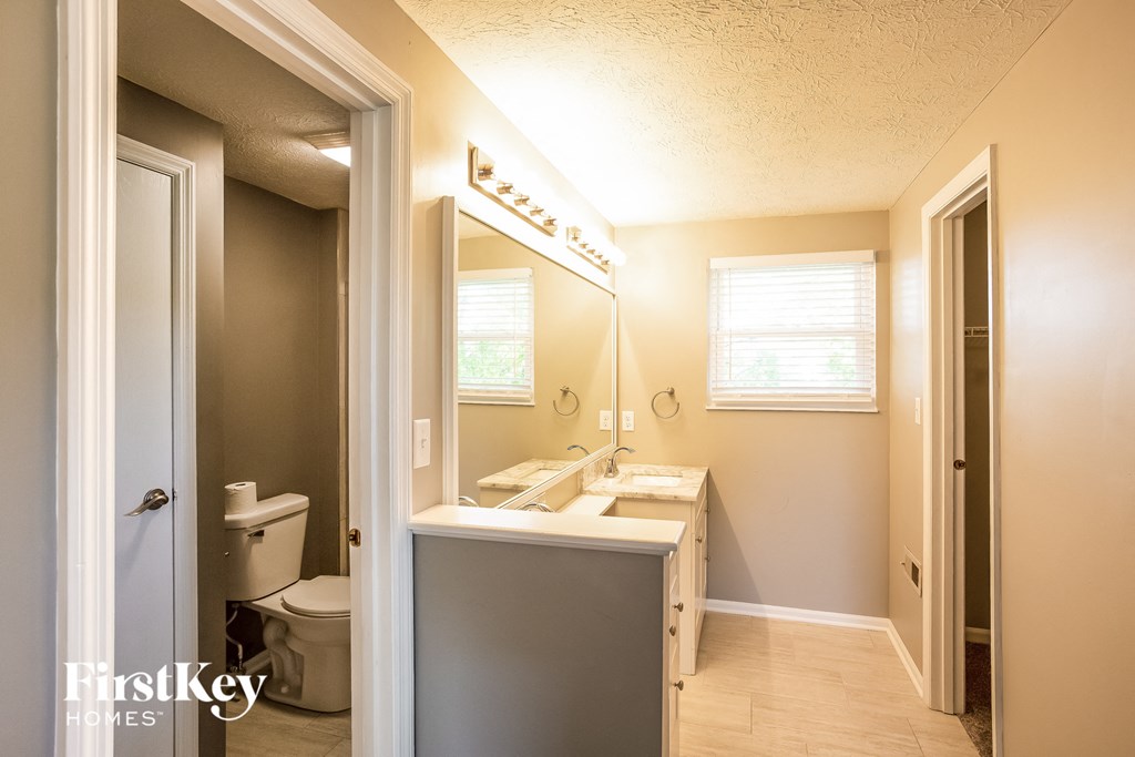 a bathroom with a sink and a mirror and a toilet