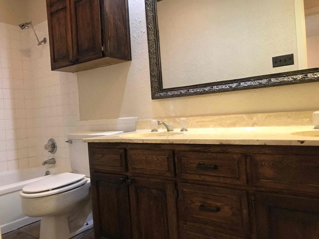 a bathroom with a toilet and a sink and a mirror