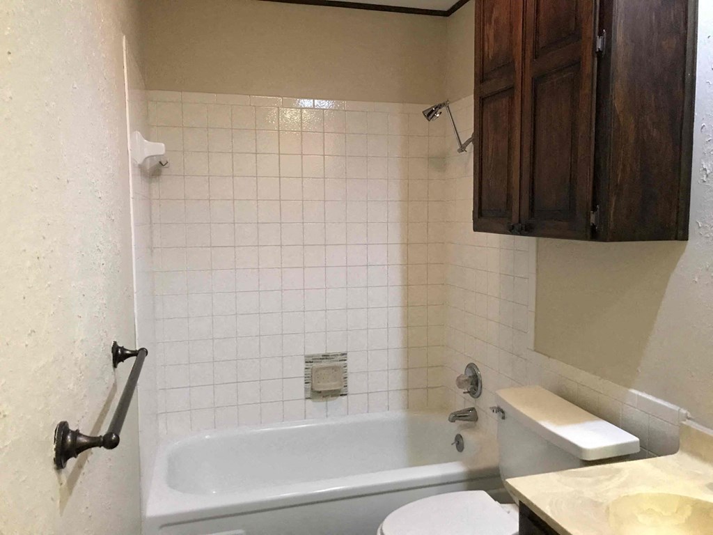 a bathroom with a tub and a toilet and a sink