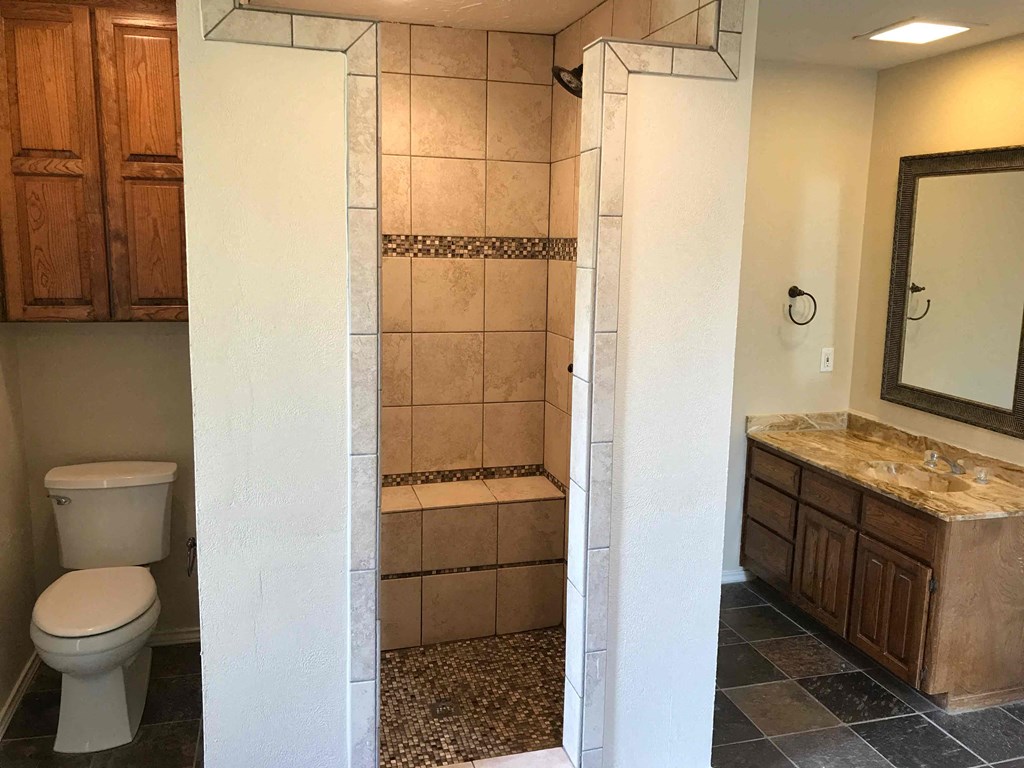 a bathroom with a toilet and a sink and a shower