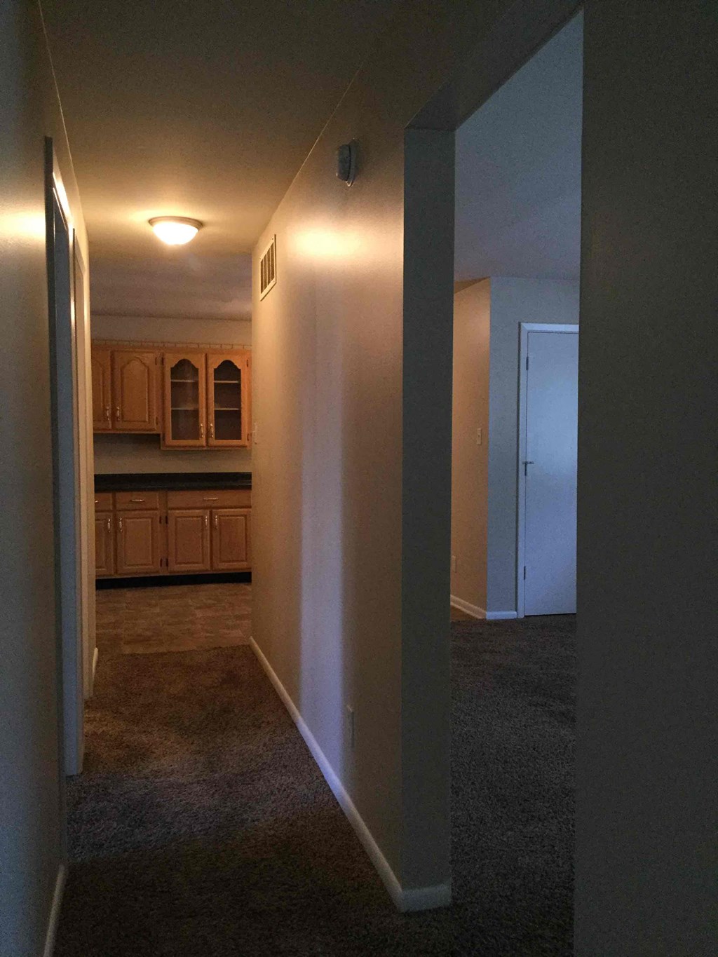 A hallway with a kitchen visible in the background.