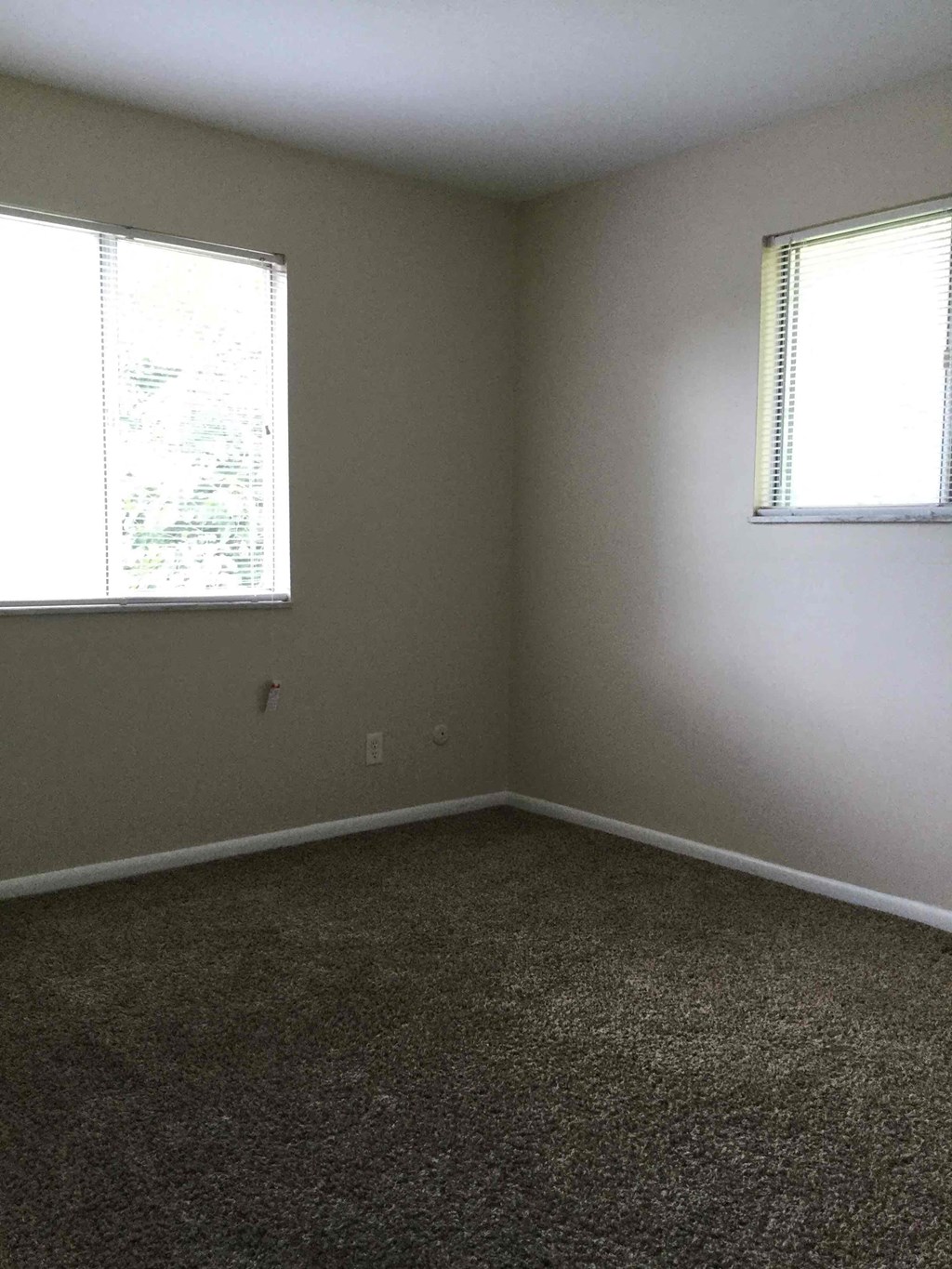 A room with a carpeted floor and two windows.