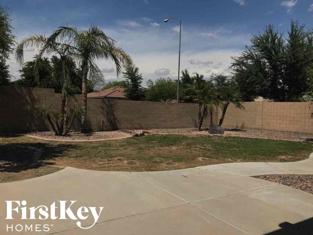 A backyard with a fence and palm trees.