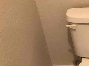 A white toilet with a white tank and a black handle.