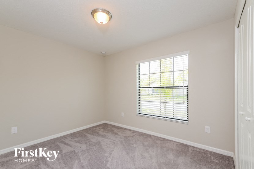 the spacious living room with a large window and carpeted flooring