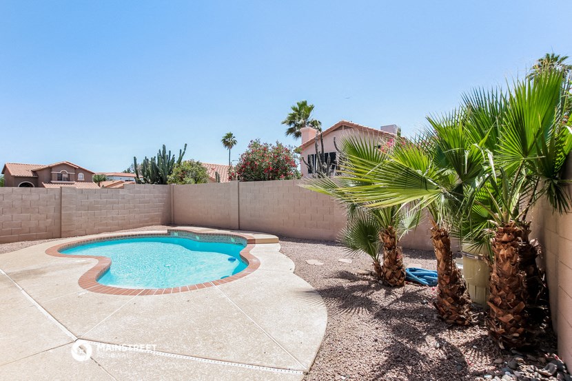 a backyard with a pool and palm trees