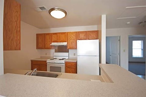 a kitchen with a white refrigerator and a sink