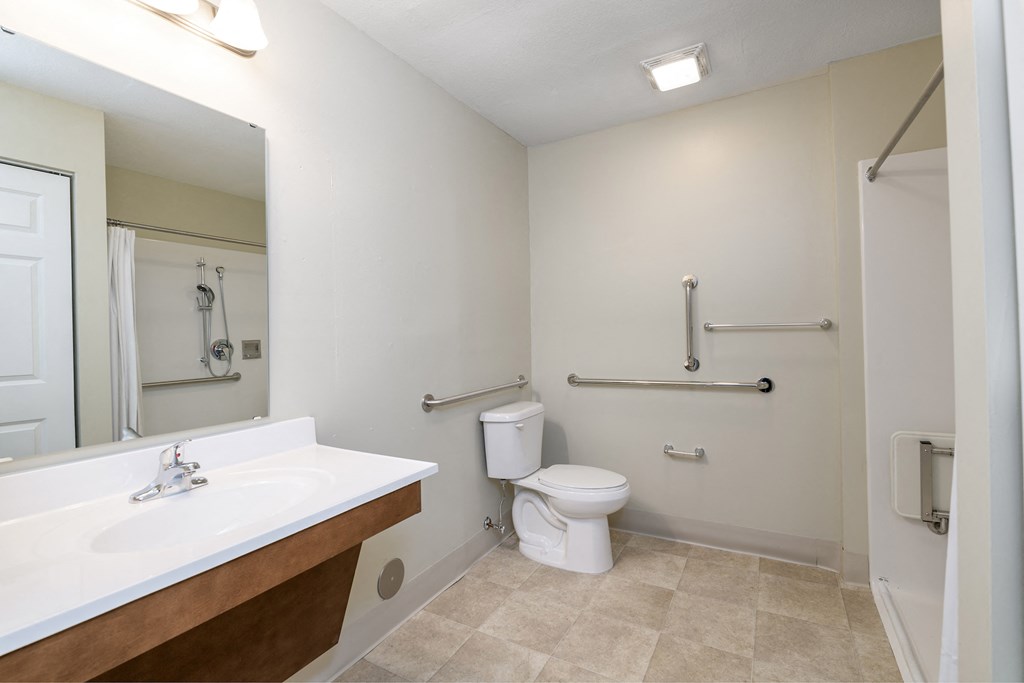 a bathroom with a toilet and a sink and a mirror
