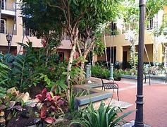 A bench is in the middle of a garden.