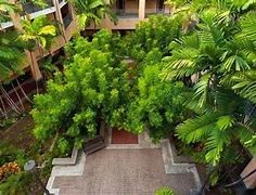 A courtyard surrounded by green plants.