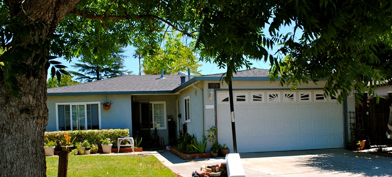 A house with a white garage door and a tree in front.