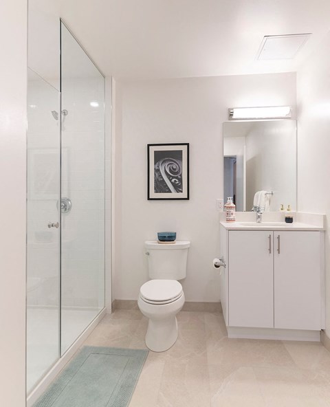 a white bathroom with a shower and a toilet