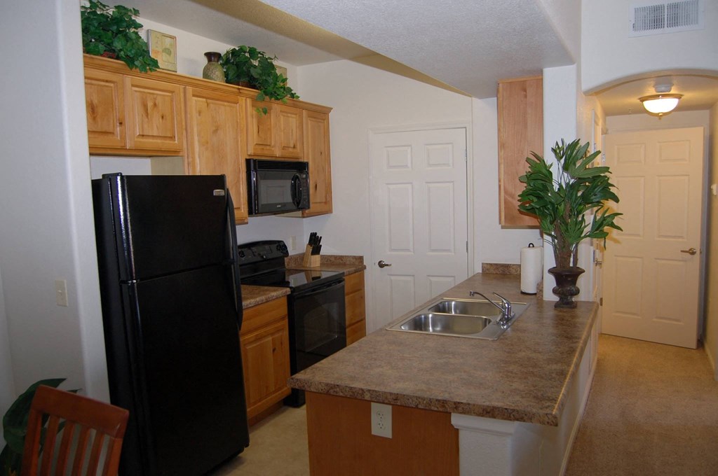 a kitchen with a black refrigerator and a sink