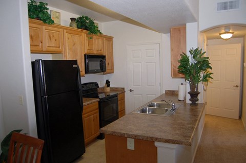 a kitchen with a black refrigerator and a sink