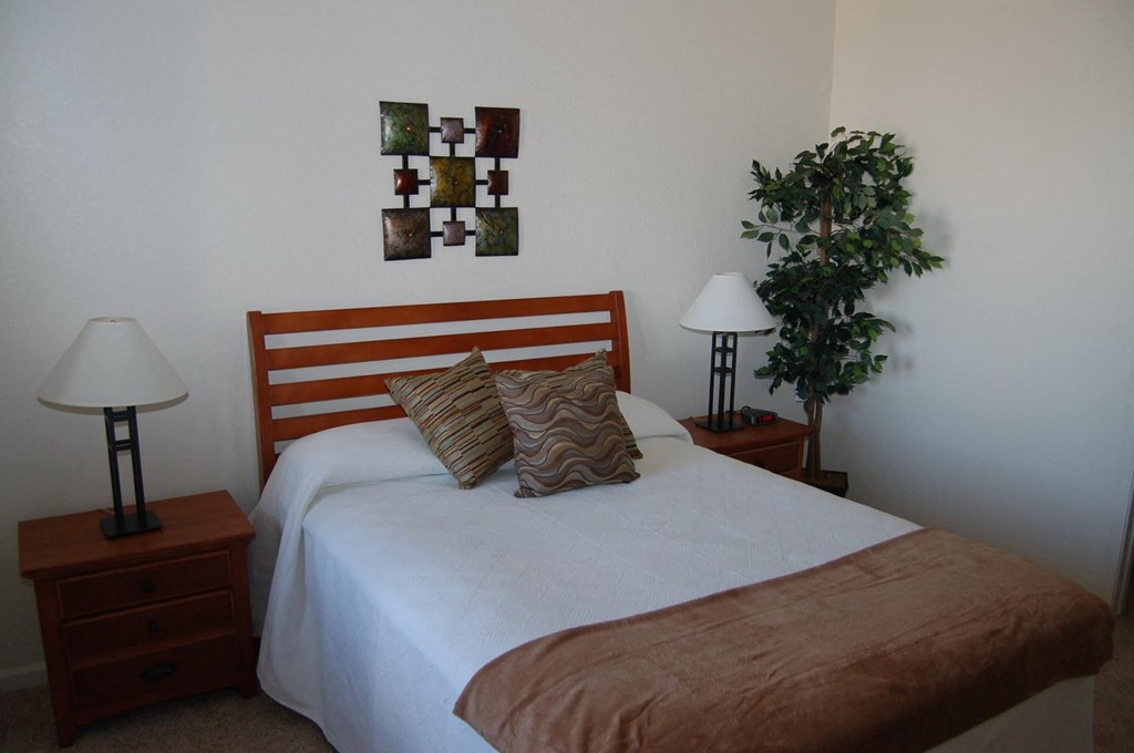 a bedroom with a bed and a plant