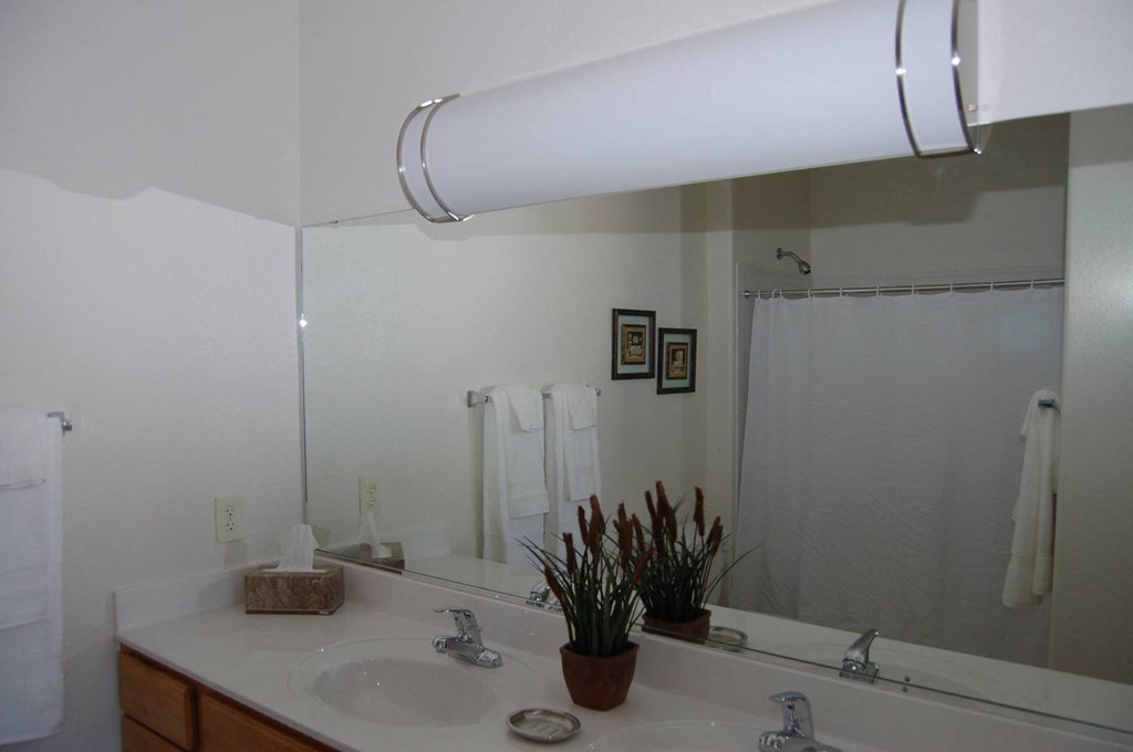 a bathroom with a sink and a large mirror