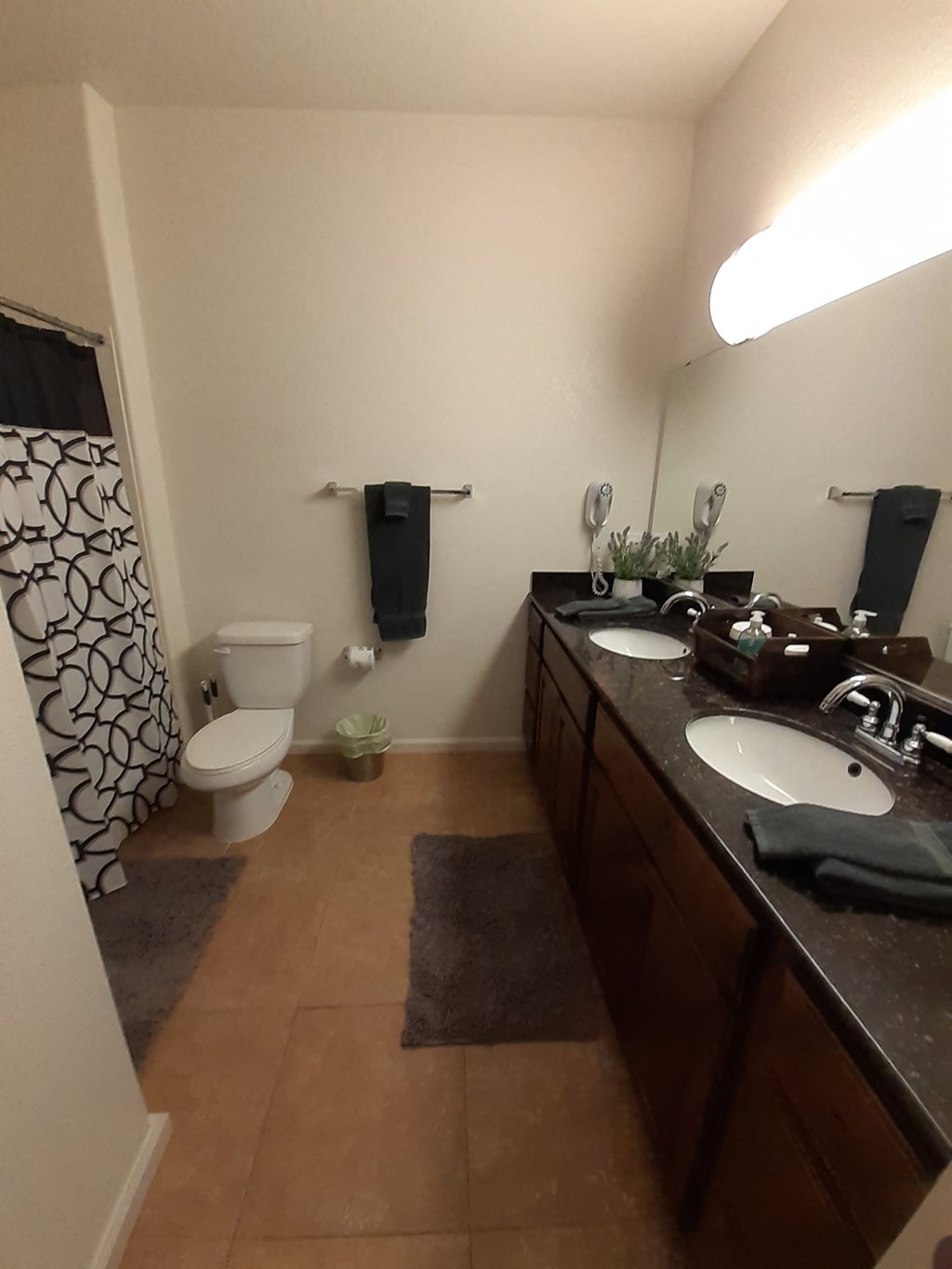 a bathroom with a toilet and a sink and a mirror