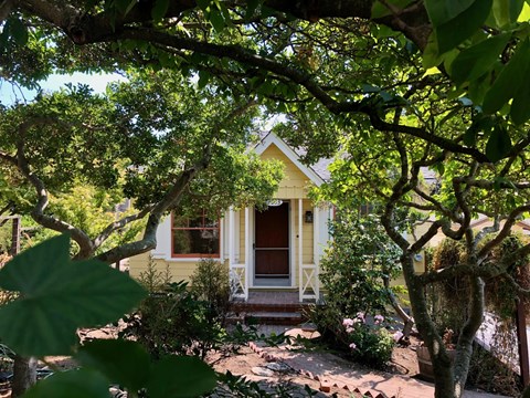 A yellow house with a red door is surrounded by greenery.