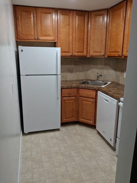 a kitchen with a white refrigerator and a sink
