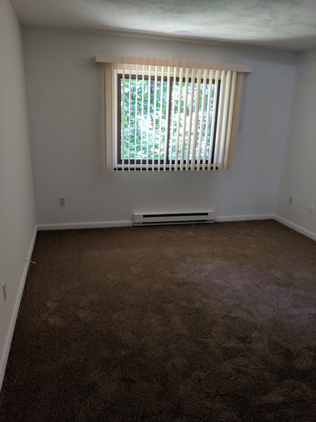 an empty room with a window and a carpet