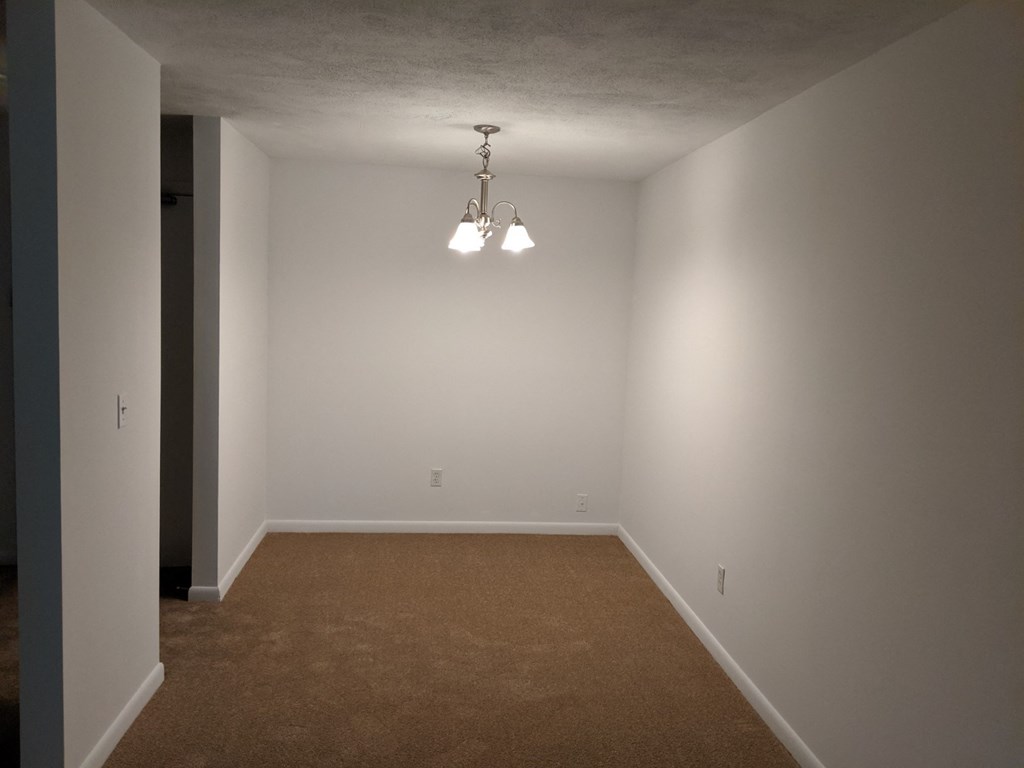 a room with a carpet and a chandelier