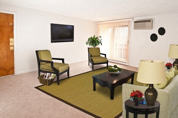 a living room with a couch and chairs and a television