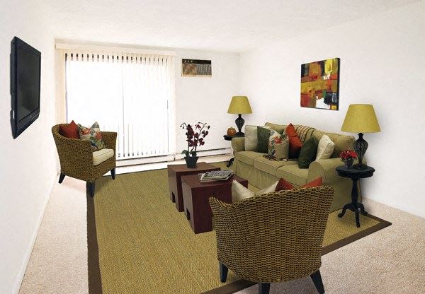 a living room with a couch and chairs and a television
