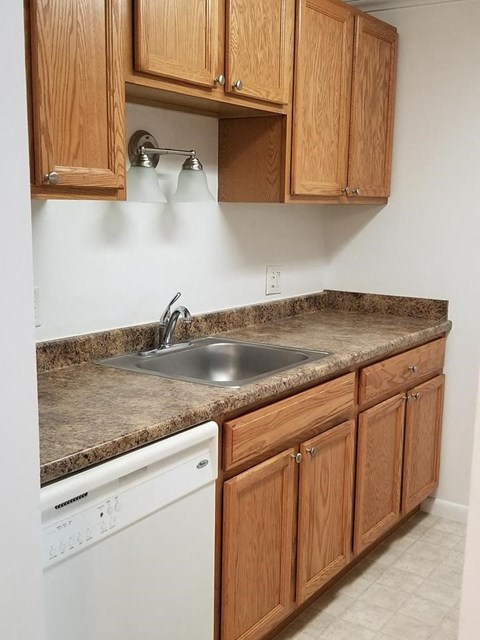 a kitchen with wooden cabinets and a sink and a dishwasher