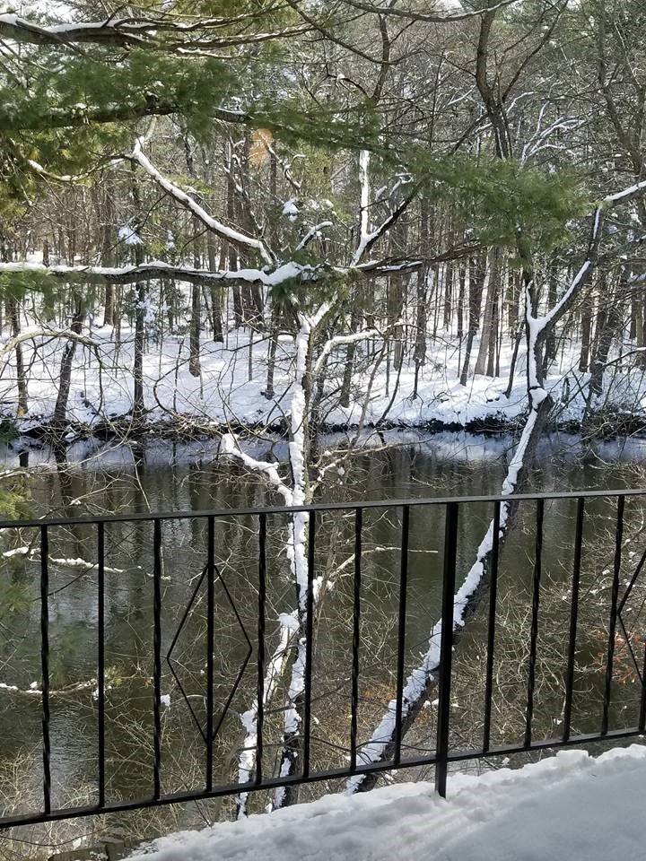 a bridge over a river in the snow