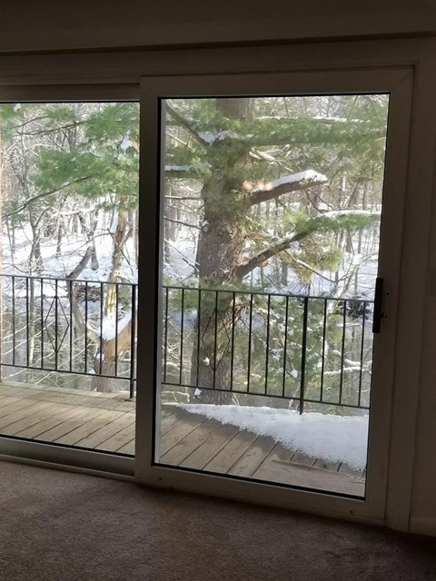a view of a tree from a balcony in the snow