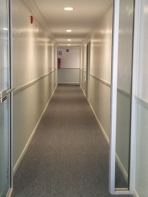 a hallway with a carpeted floor and glass doors