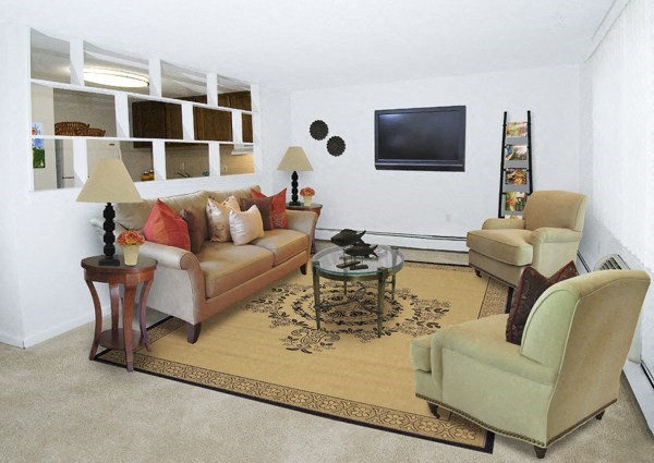 a living room with couches and chairs and a television