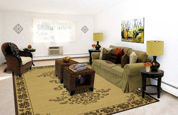a living room with a couch and chairs and a rug
