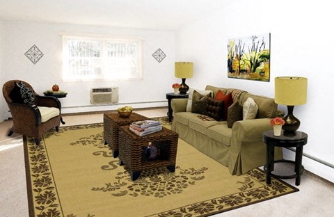 a living room with a couch and chairs and a rug