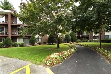 a tree lined street in front of an apartment building