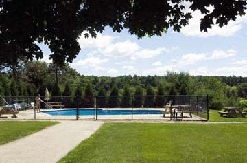 a swimming pool with trees in the background