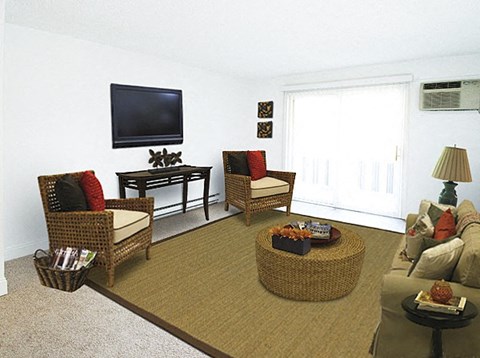 a living room with a couch and chairs and a television