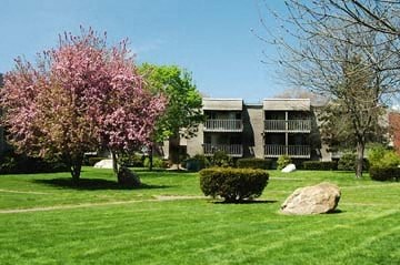 an apartment building with a tree and a rock in the grass