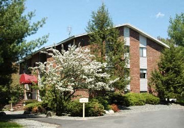 a building with a flowering tree in front of it