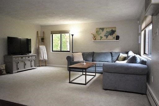 a living room with a couch and a television