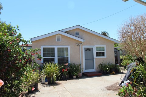 A small house with a white door and windows surrounded by plants.