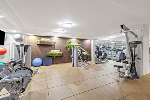a gym with exercise equipment and a wall with plants