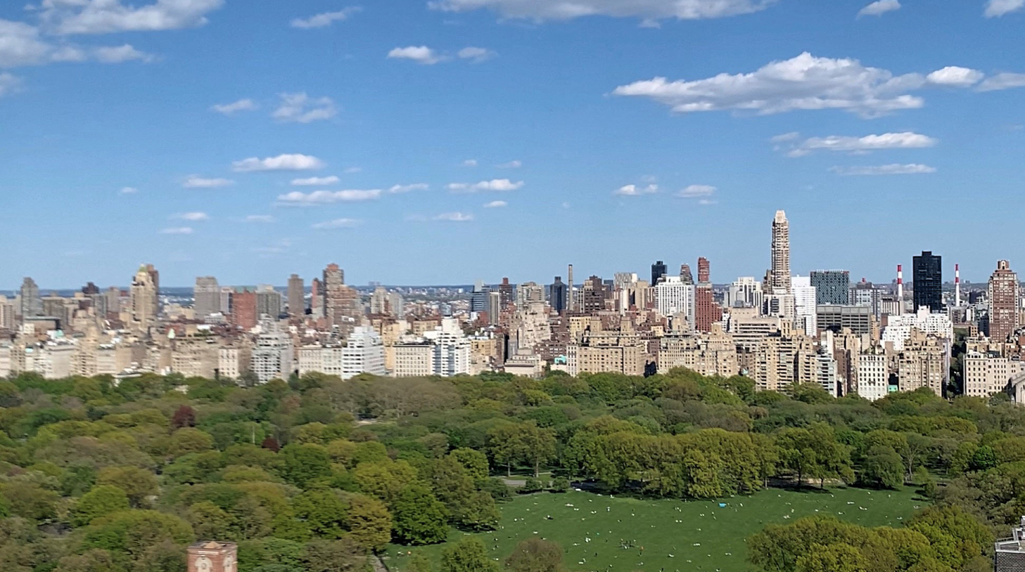a view of central park and the skyline