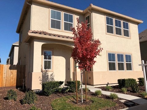 a house with a red tree in front of it