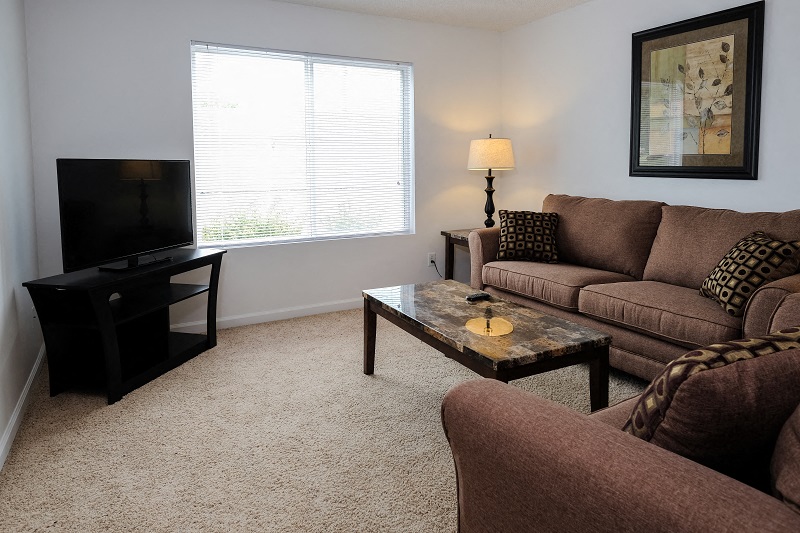 a living room with a couch and a television